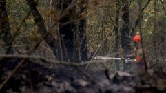Un bombero participa en las labores de extinci�n de un incendio declarado en la Reserva de la Biosfera de Muniellos (Asturias), considerado como el robledal mayor y mejor conservado de Espa�a, en 2017