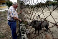 Manuel Casares, nunha imaxe de arquivo na finca na que criaba xabar�ns en semiliberdade. 