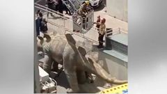 Imagen capturada de un v�deo de Twitter de El Mirall.net