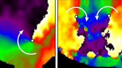 Imgenes de mapeado ptico de dos corazones distintos de ratones que desarrollaron fibrilacin ventricular.