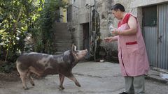 �<span lang= gl >Este porco crese un can. Ata te�o que sacalo a facer pis</span>�