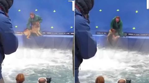 Denuncian a la pel�cula �El prop�sito de un perro� por maltrato animal