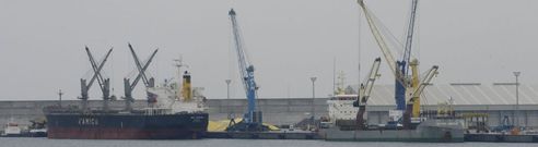 Dos buques descargando en el puerto exterior de Punta Langosteira. 