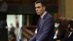 S�nchez comparece en el Congreso para informar sobre la situaci�n de Ucrania