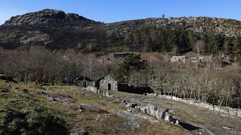 El incendio forestal quem 160 hectreas de la zona de reserva del parque natural Baixa Limia-Serra do Xurs, aunque no afect a las casas de la aldea de O Salgueiro.