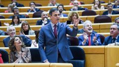 El presidente del Gobierno, Pedro Snchez, durante la ltima sesin de control al Gobierno en el Senado, hace casi un ao