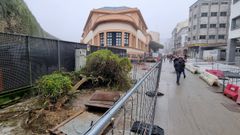 �rboles cortados en la R�a Montevideo el pasado 4 de diciembre
