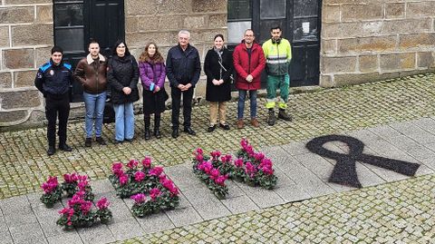 Los jardineros municipales colocaron frente al Ayuntamiento 38 plantas con flores de color violeta, una por cada mujer asesinada este ao en Espaa por sus parejas o exparejas