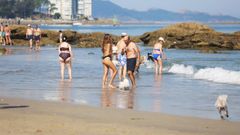 Playa de A Calzoa, una de las habilitadas para perros en Vigo