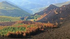 Un aspecto del entorno de la laguna de Lucenza tras los incendios forestales que se produjeron en la sierra de O Courel en julio del 2022