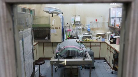 La tortuga Omsin (�hucha�), de 25 year, se trag� casi mil monedas.