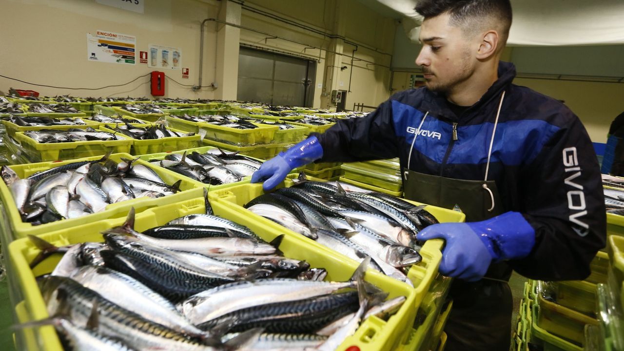 El pasado y el futuro del mar y la pesca se darán cita desde hoy en Celeiro