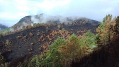 El fuego devast� una ladera de un monte que estaba colonizada por rebollos o cerqui�os. La imagen est� tomada desde la carretera que lleva a Vilar de Lor, en el municipio de Quiroga