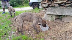 Foto sacada en Barreiros, pero que intentaron hacer creer que era Foz