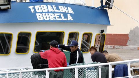 Marineros indonesios en un barco de Burela