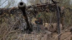 El ca��n de un tanque camuflado en las proximidades de Bajmut