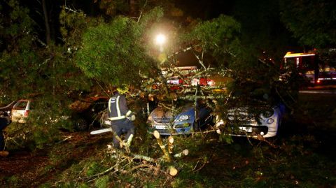 Cae un rbol encima de siete coches en ACEA Da Ama