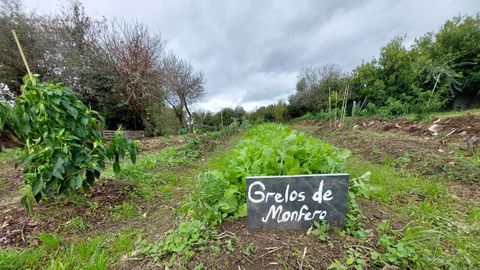 Los voluntarios tambin preparan un huerto.