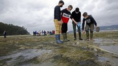 El estudio�de los alumnos del IES Poeta A��n, en im�genes