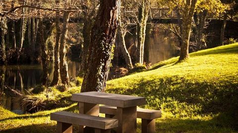 Los  bosques del r�o Sor, en Ma��n, custodian rutas para todos los niveles. Ponte Segade es un buen punto para reponer fuerzas