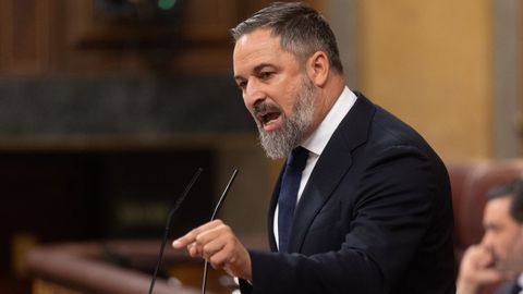 El presidente de Vox, Santiago Abascal, interviene durante el pleno celebrado en el Congreso.