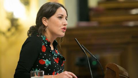 Ana Marcello, diputada de Unidas Podemos por Len, no continuar esta legislatura