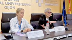 La consejera de Salud del Principado de Asturias, Concepcin Saavedra, en el reconocimiento a los galardonados con los Premios TOP 20, en el Hospital de Cabuees (Gijn).