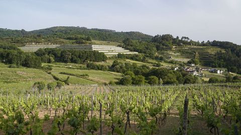 Concello de Leiro