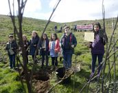 Los ni�os plantaron �rboles en Lucenza. 