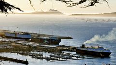 Tres cargueros amarrados en la terminal de Bouzas para carga y descarga de veh�culos y piezas de la automoci�n.