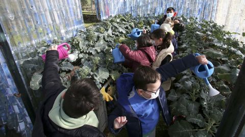 Invernadero escolar de A Laxe