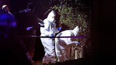 Investigan el crimen de una mujer en O Porri�o