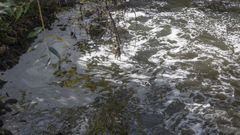 El r�o Sar sufri� varios vertidos durante el mes de octubre relacionados con las obras de la depuradora de Santiago