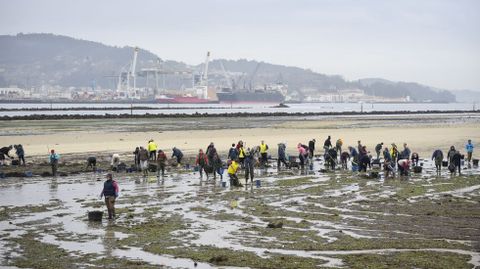Mariscadoras limpiando una de las zonas productivas de la r�a de Pontevedra que ser�n objeto de estudio la pr�xima semana