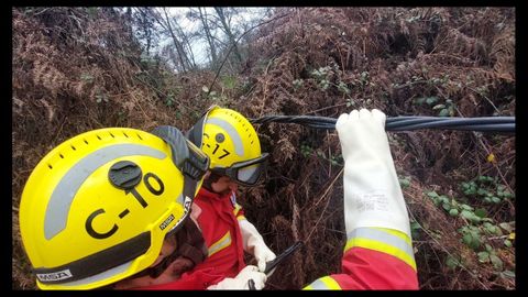 Bomberos de O Carballio intervienen en la cada de un rbol que arrastr cableado