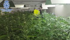 Cerca de un centenar de arrestos en una operaci�n policial contra el narcotr�fico