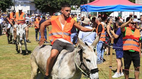 Algunos de los burros alcanzaban velocidades considerables