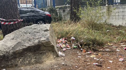 Estraña é que os gardiáns do parque Nnatural non<br />levante acta e a tramiten, onde corresponda, que leve a restablecer<br />ou equilibrio medioamhiental