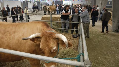 Imagen de archivo de la feria de San Isidro de Sarria