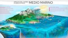 L�mina did�ctica sobre el cambio clim�tico en Asturias