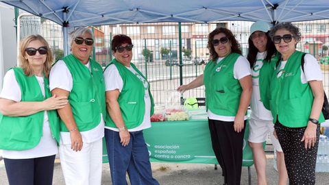  Traves�a a Nado Illa de R�a organizada por la asociaci�n contra el cancer de Ribeira 2026