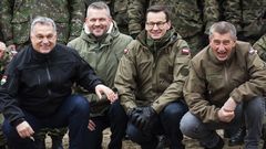 A la izquierda el primer ministro h�ngaro, Viktor Orban. En el otro extremo, su hom�logo checo, Andrej Babis