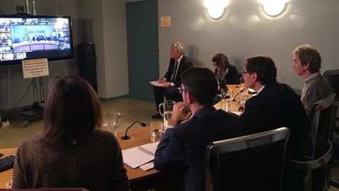 El ministro de Sanidad, Salvador Illa, presidiendo la reuni�n por videoconferencia del Consejo Interterritorial del Sistema Nacional de Salud para tratar la situaci�n del coronavirus
