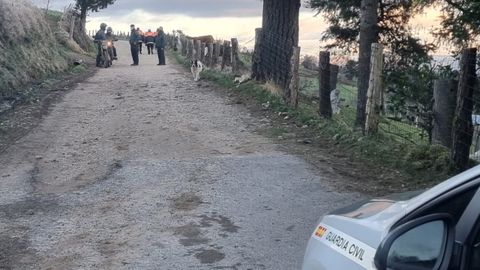 Dispositivo de b�squeda