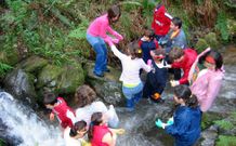 Un grupo de alumnos de un colegio vigu�s, limpiando el cauce del r�o Eifonso.