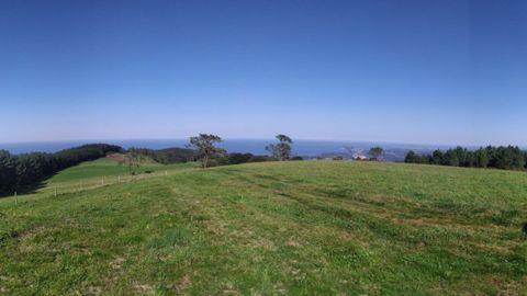 Parcela de Somao donde se va a desarrollar el proyecto de pomarada ecol�gica