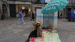 La actriz Mar�a Vidal apoy� el d�a de las enfermedades raras