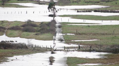 Porru de Muslera inundado