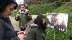Defensores de los animales colocaron un cartel con velas en el lugar en el que dispararon a Alma
