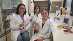 Las profesoras Vanesa Garca y Azucena Mora y la investigadora Leticia Carballeira (de izquierda a derecha), en el laboratorio de Veterinaria donde investigan sobre este asunto